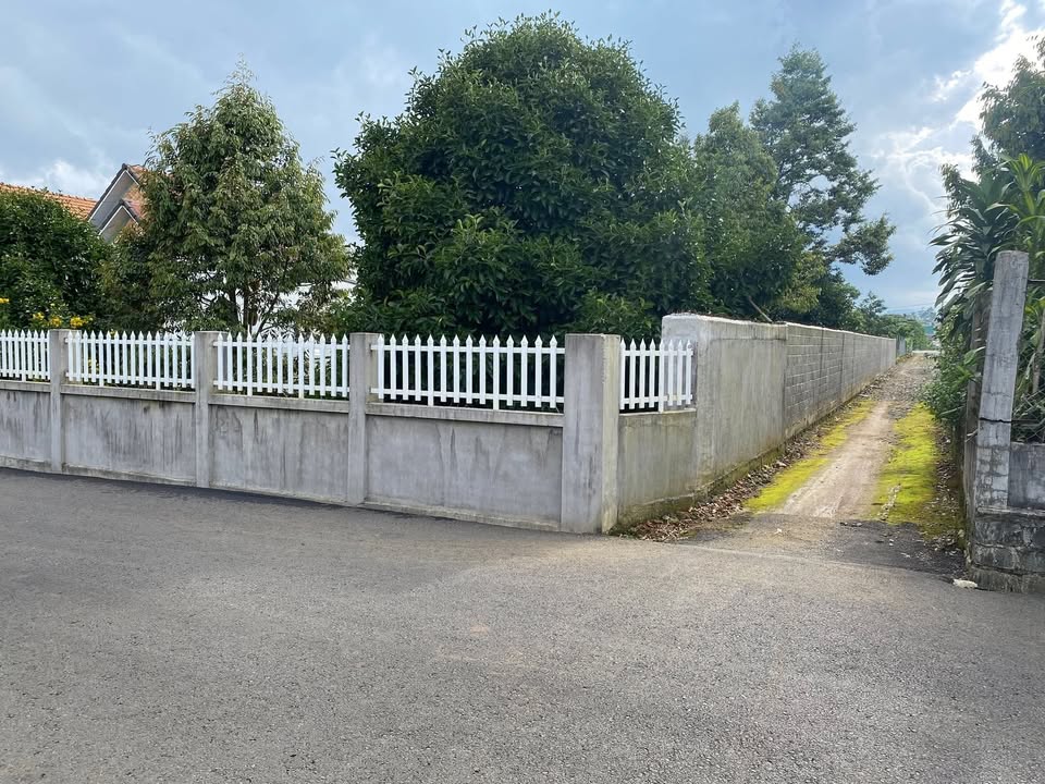 Nhà tại Bảo Lộc 1479m² giá thỏa thuận - Đầu tư sinh lời, nghỉ dưỡng lý tưởng!