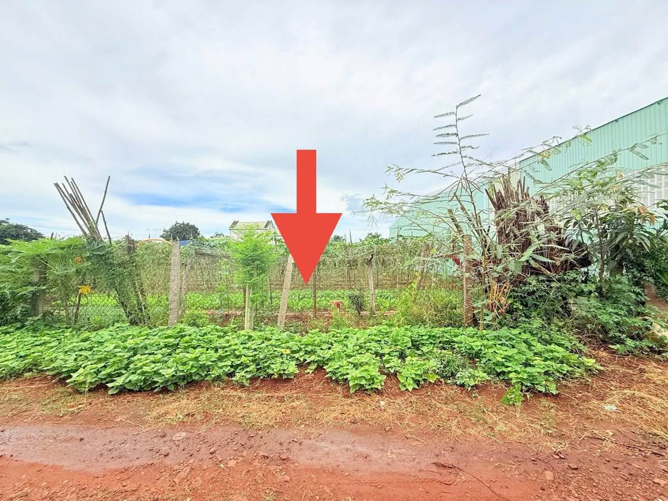 Đất Hẻm 21 Nguyễn Tuân, Phường Thắng Lợi, 155m² giá 700 triệu - Cơ hội đầu tư tuyệt vời!