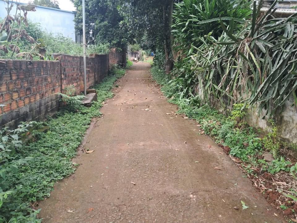 Đất nền Bùi Viện Pleiku 145m² giá chỉ 300 triệu - Cơ hội vàng cho đầu tư!