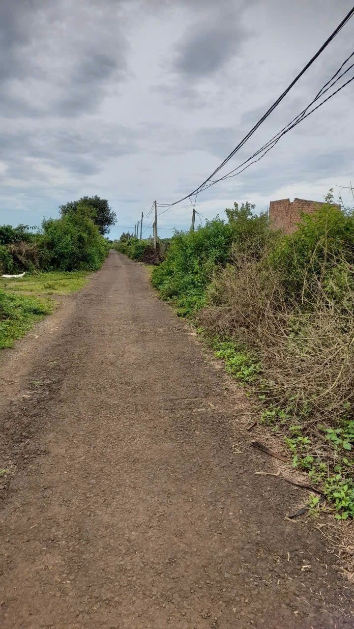 Đất nền hẻm 100 Nguyễn Kiệm, Pleiku 500m² giá 600 triệu - Sổ đỏ chính chủ!