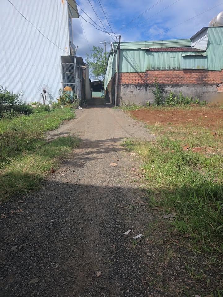 Đất nền hẻm 121 Lê Đại Hành, Pleiku 100m² chỉ 600 triệu - Cơ hội đầu tư tuyệt vời!