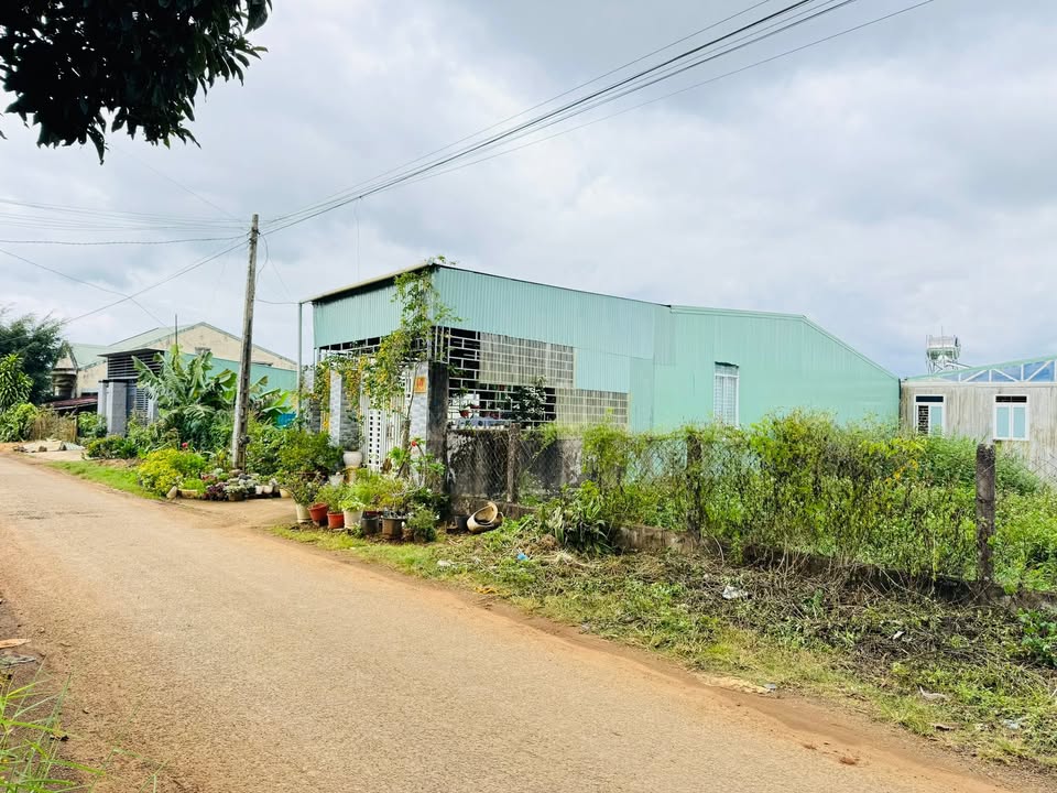 Đất mặt tiền An Dương Vương Pleiku 135m² giá 1.5 tỷ - Đầu tư sinh lời ngay!