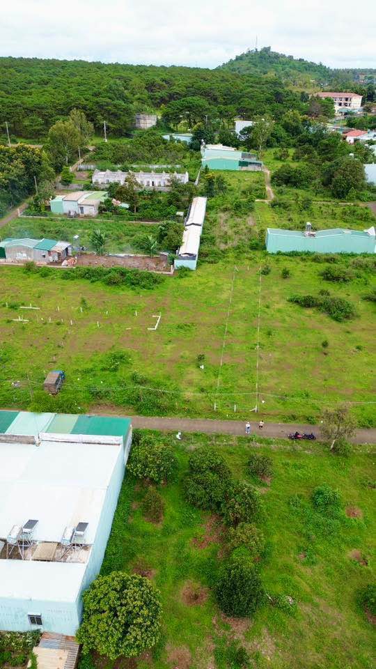 Đất nền chính chủ Pleiku 312m² giá 800 triệu - Đường nhựa thông thoáng!