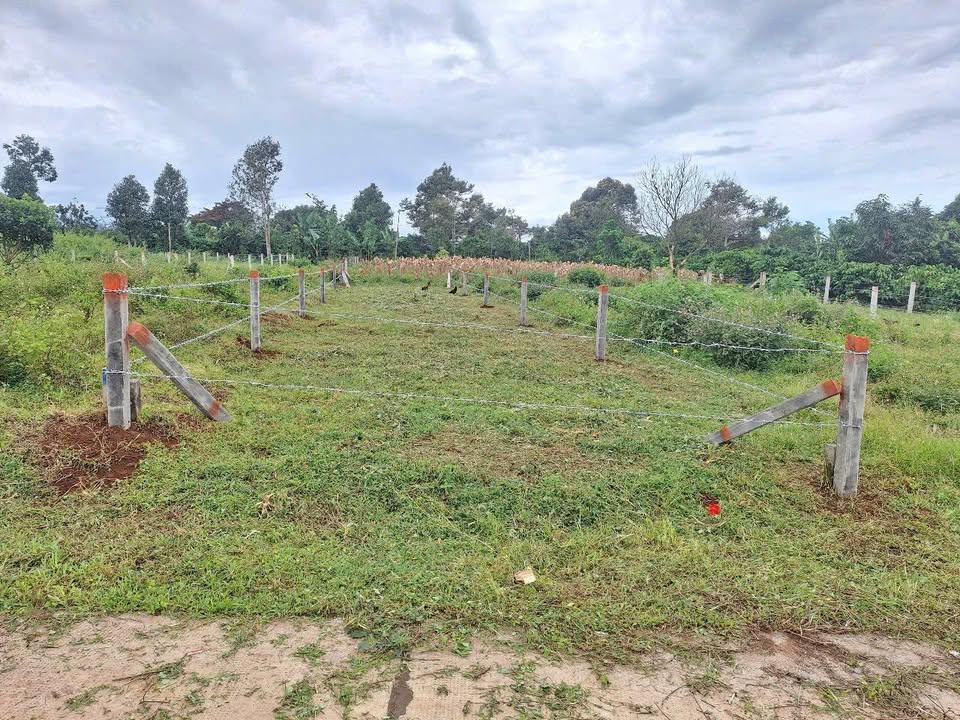 Đất Hẻm 412 Trường Sơn, Pleiku 140m² - Giá chỉ 400 triệu!