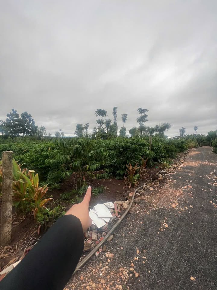 Đất thổ cư Cư Huê, Ea Kar 60m² - Đầu tư sinh lời ngay!