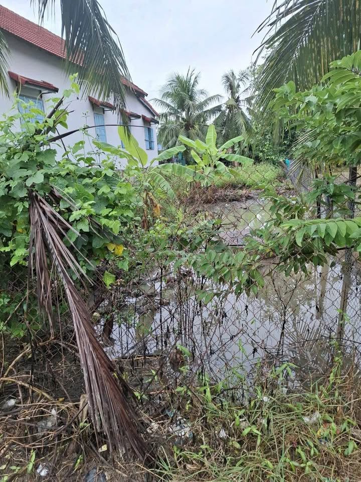 Đất nền Diên Điền 200m² giá 1.4 tỷ - Cơ hội đầu tư hấp dẫn!