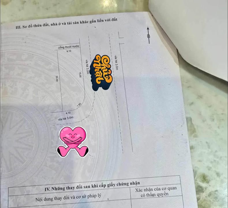 Nhà cấp 4 Hòa Xuân 177m² giá 8.79 tỷ - Vị trí vàng, cơ hội đầu tư