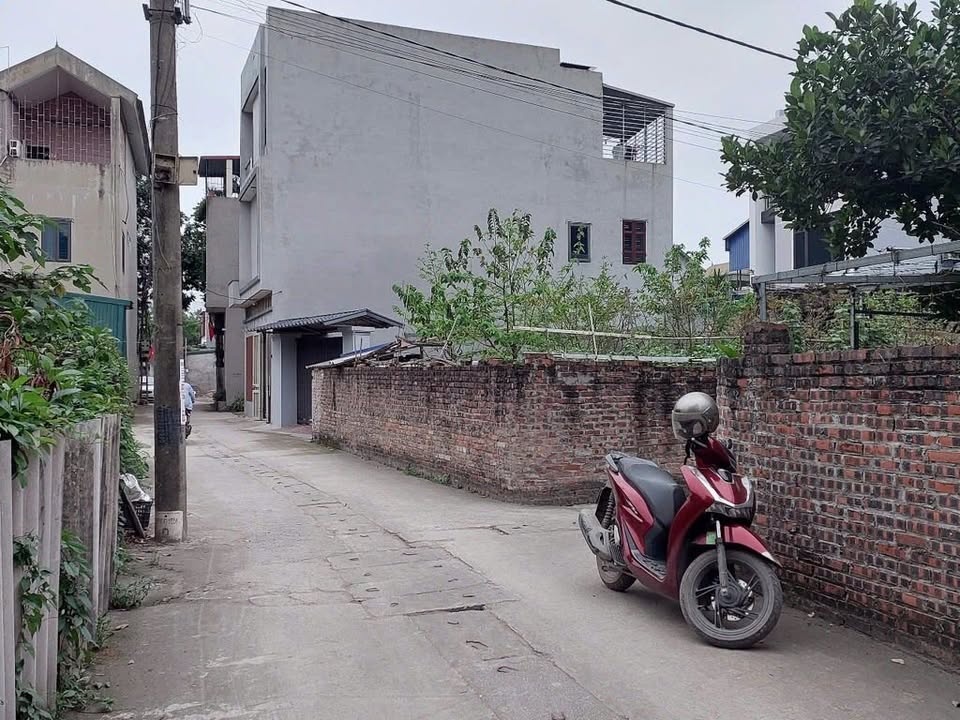 Đất thổ cư Lương Quy, Xuân Nộn 70,4m² giá 3 tỷ - Cơ hội đầu tư sinh lời cao!