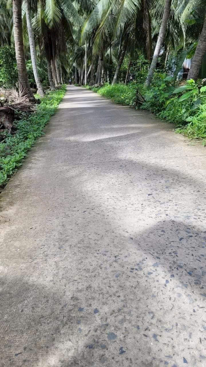 Đất Lộc Thuận, Bình Đại 680m² giá 680 triệu - Cần bán nhanh, rẻ nhất khu vực!