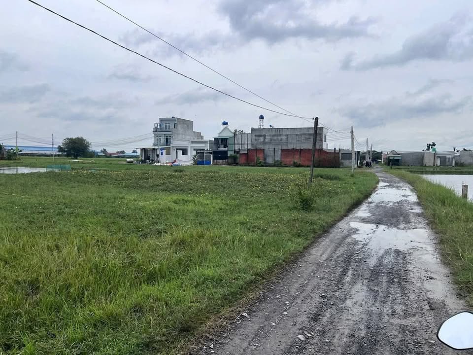 Đất lúa 480m² xã Mỹ Hạnh, giá chỉ 1.05 tỷ - Cơ hội đầu tư hấp dẫn!