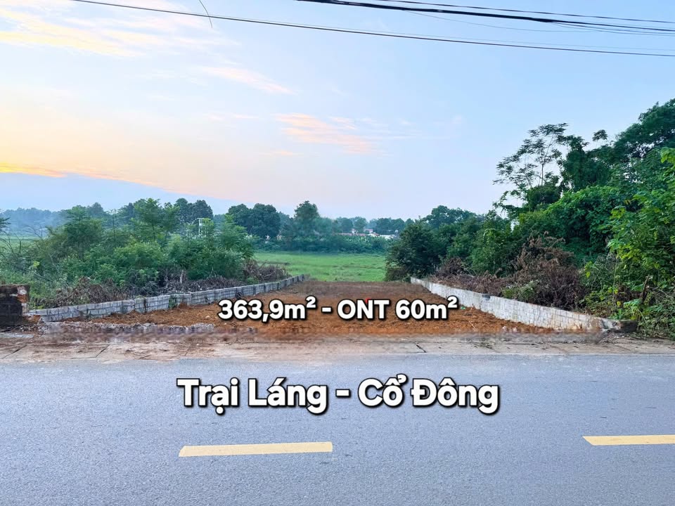 Đất nền Trại Láng, Sơn Tây 363m² giá 10.9 tỷ - Cơ hội đầu tư tuyệt vời!