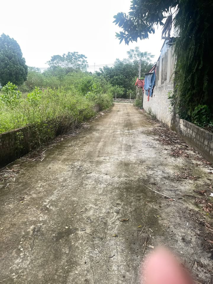 Đất thổ cư Ba Trại, Ba Vì 300m² - Sổ đỏ chính chủ, đầu tư sinh lời!