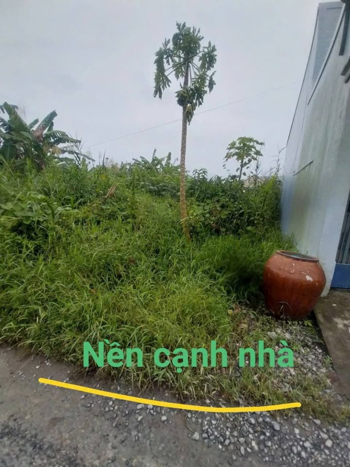 Đất nền Bình Minh Vĩnh Long 105m² giá 520 triệu - Đầu tư sinh lời ngay!