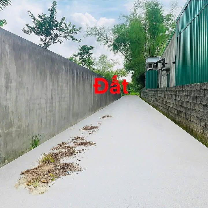 Đất thổ cư Nghi Liên 166m² giá thỏa thuận - Vị trí đắc địa, tiềm năng tăng giá cao!