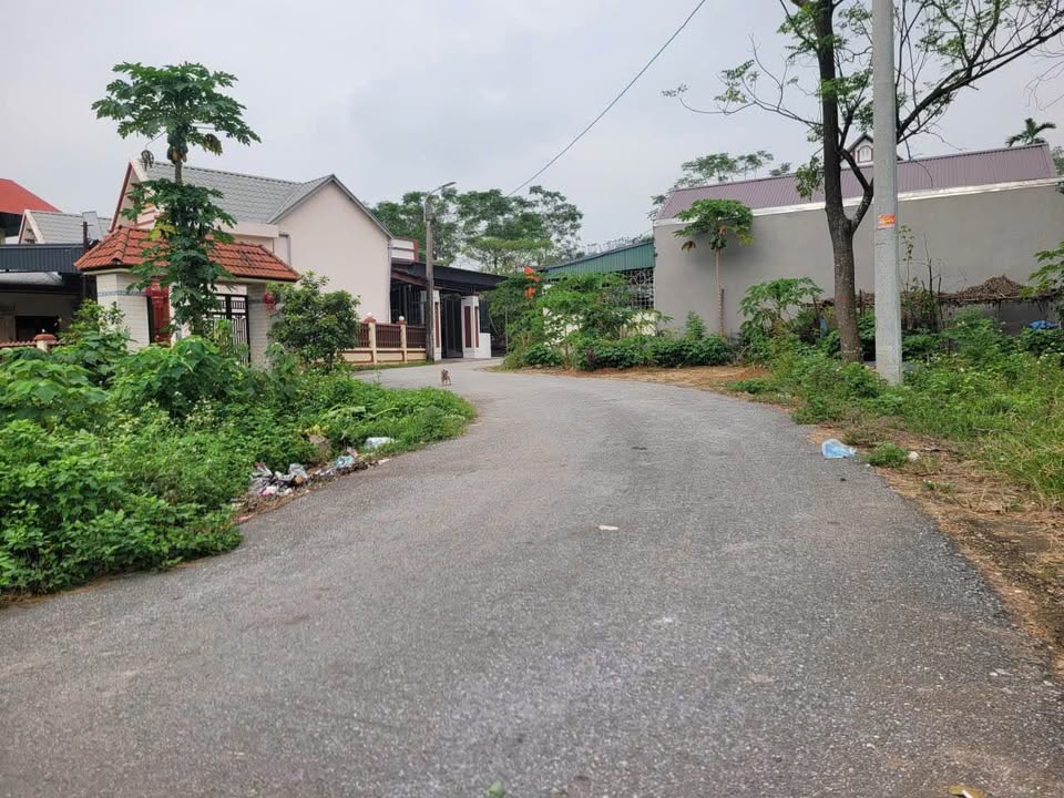 Đất thổ cư Hương Sơn, Bình Xuyên 99m² giá 1.2 tỷ - Đường thông thoáng, gần KCN!