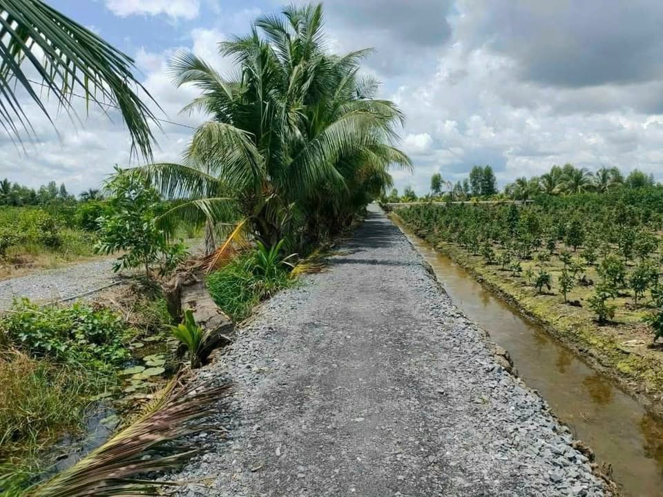 Đất vườn Tân Thành Thủ Thừa 1000m² giá 600 triệu - Cần bán gấp!