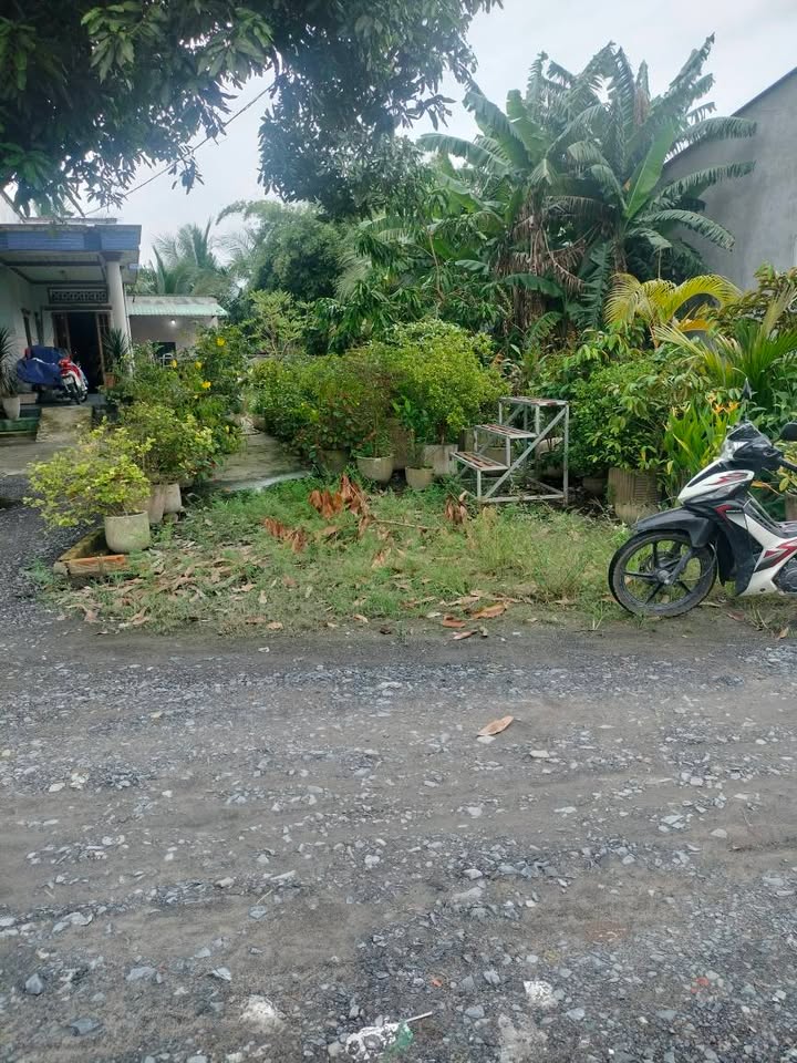 Đất thổ cư xã Mỹ Hạnh Bắc, Đức Hòa, 165m² giá 1.2 tỷ - Chính chủ bán gấp!