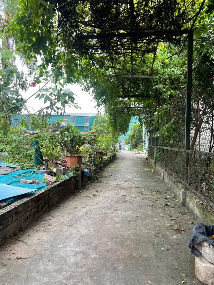 Lô đất đẹp tại xã Bình Minh, Thanh Oai, Hà Nội - Diện tích 82m² giá chỉ 5.74 tỷ!