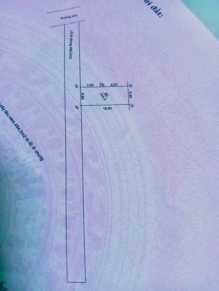 Đất nền thổ cư 115m² tại Vật Lại - 600 triệu, cơ hội sinh lời nhanh!