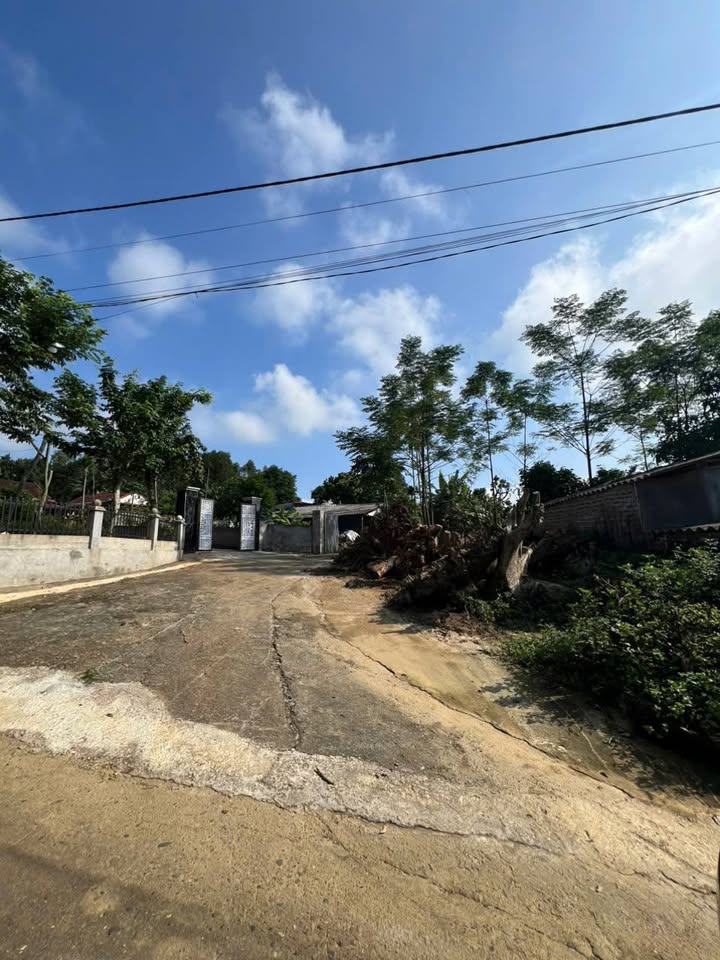 Đất thổ cư 500m² Thạch Khoán, Thanh Sơn, Phú Thọ - Giá thỏa thuận hấp dẫn!