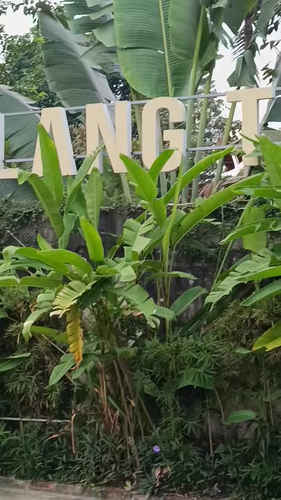 Đất nền Tiên Cát, Việt Trì 67m² giá 1.6 tỷ - Cơ hội đầu tư lý tưởng!