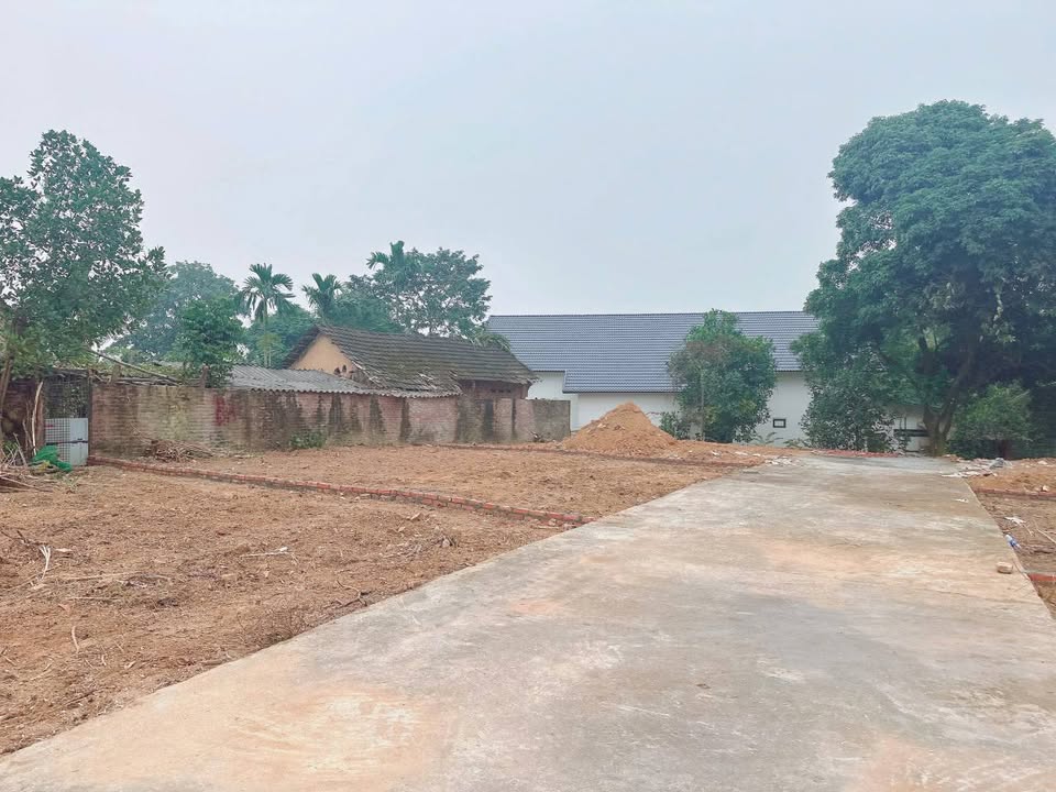 Đất nền Tiên Kiên, Lâm Thao 90m² giá thỏa thuận - Mặt tiền rộng 10m thuận lợi!