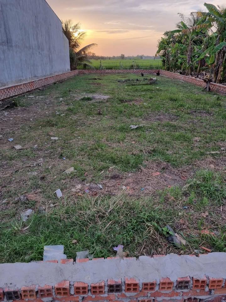 Đất thổ cư 280m² ấp 5 xã Tân Bửu Long An giá 3.2 tỷ - Cơ hội đầu tư tuyệt vời!