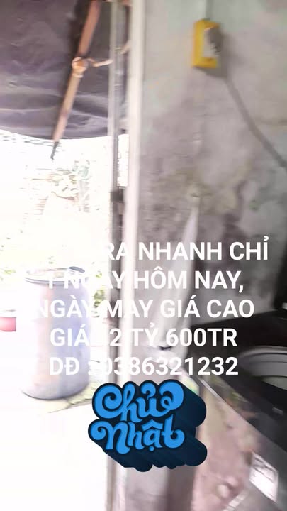 Nhà cấp 4 Đại Phước 173m² giá chỉ 2.6 tỷ - Đất thổ cư 100%!