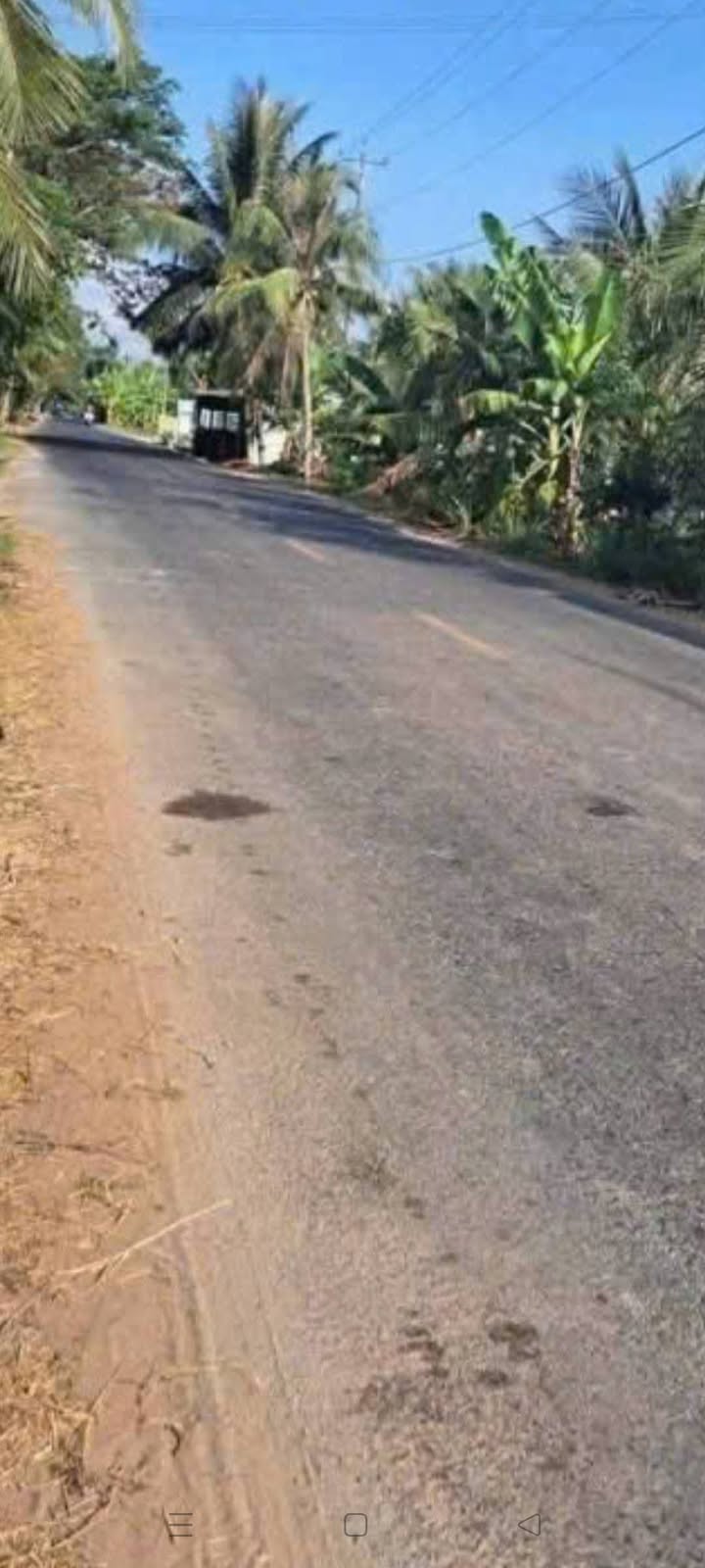 Đất nền 836m² Huyện lộ 10, Ba Tri, Bến Tre - Giá 1.2 tỷ, mặt tiền thuận lợi kinh doanh!