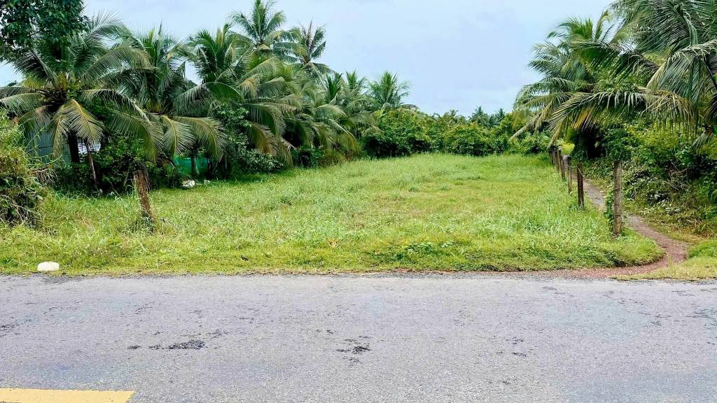 Đất nền mặt tiền HL10 ĐT885 xã Hưng Nhượng, Giồng Trôm - Diện tích 1000m², giá chỉ 1 tỷ!