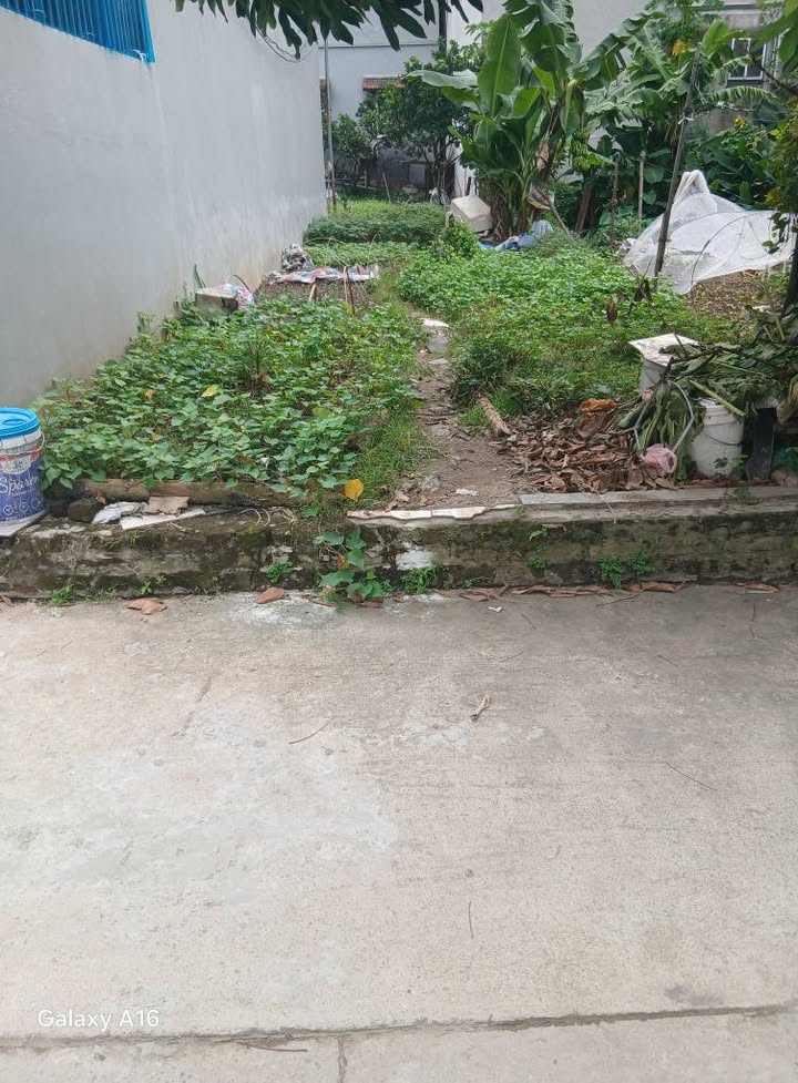 Đất nền Vĩnh Ngọc Đông Anh 77m² giá 6 tỷ - Mặt tiền rộng, ô tô vào tận nơi!