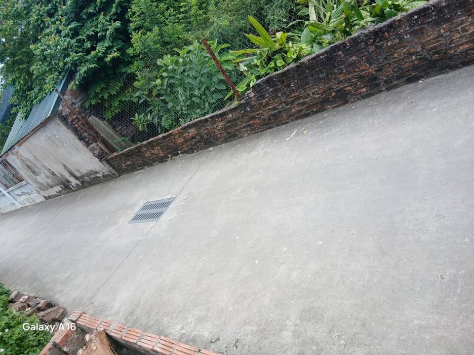 Đất nền Đại Đồng Đông Anh 57m² giá 3.3 tỷ - Đường rộng ô tô vào tận nơi!