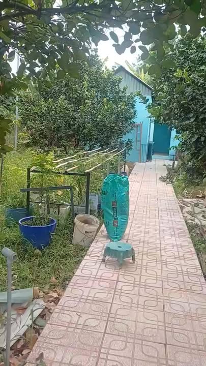 Nhà vườn Bình Lợi, Vĩnh Cửu 1371m² giá thỏa thuận - Không khí trong lành, đầu tư sinh lời!