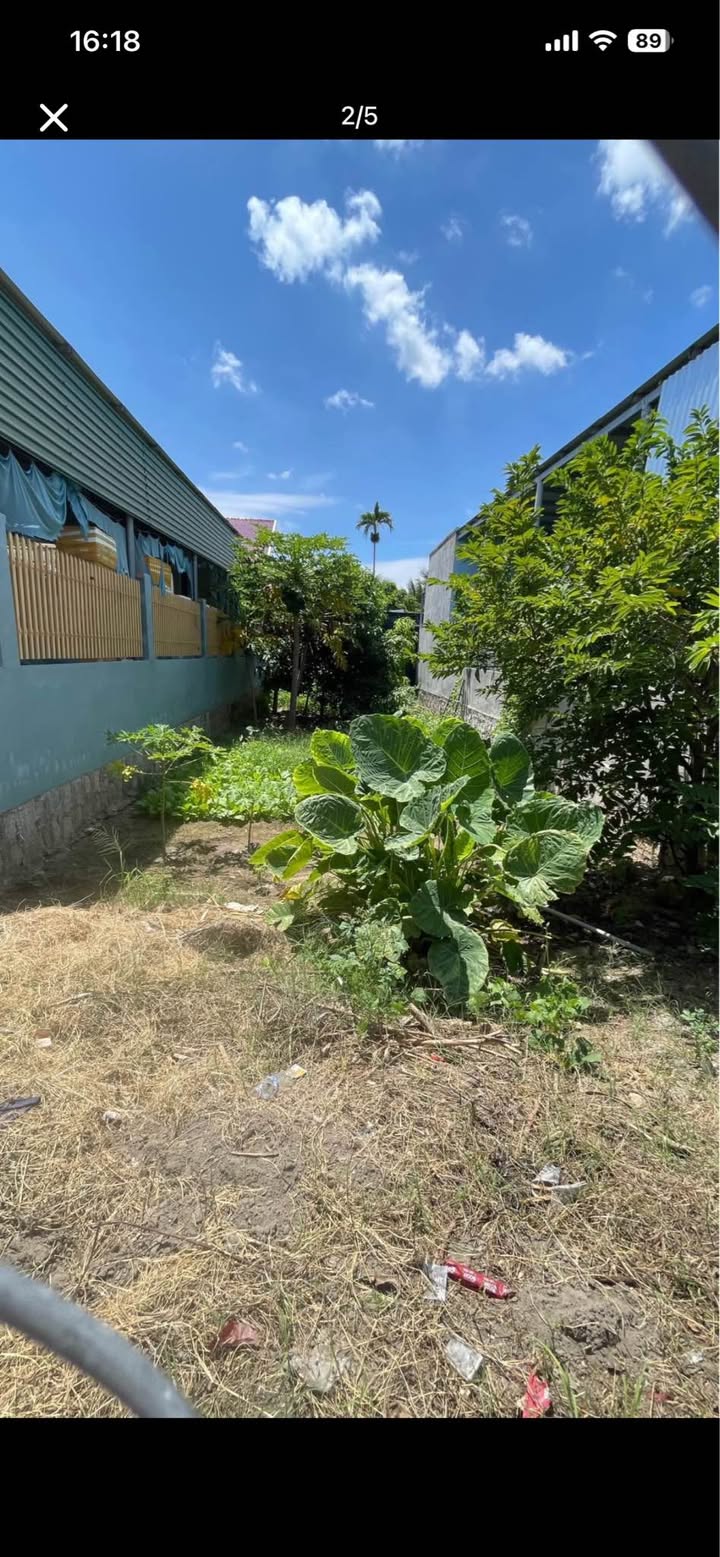 Đất mặt tiền đường Nguyễn Thái Bình, phường Tấn Tài, 117m² giá 1.445 tỷ - Đầu tư sinh lời ngay!