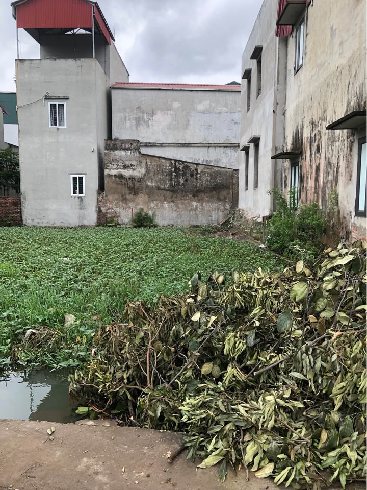 Đất nền Lạc Thị, Ngọc Hồi 88m² giá 2.9 tỷ - Khu vực phát triển mạnh mẽ!