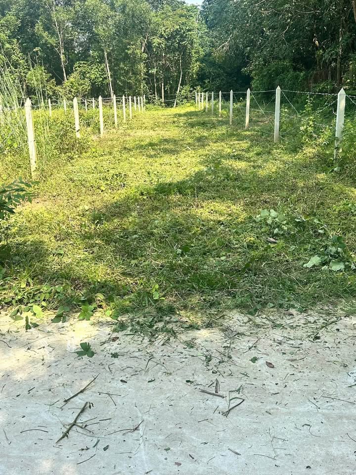 Đất nền phường Tây Nam, Bến Cát 60m² giá 1 tỷ - Cơ hội đầu tư tuyệt vời!