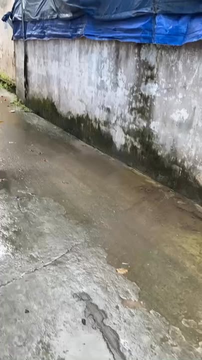 Đất nền Kim Ngưu - Tân Tiến 81m² giá 4 tỷ - Cơ hội đầu tư sinh lời tuyệt vời!