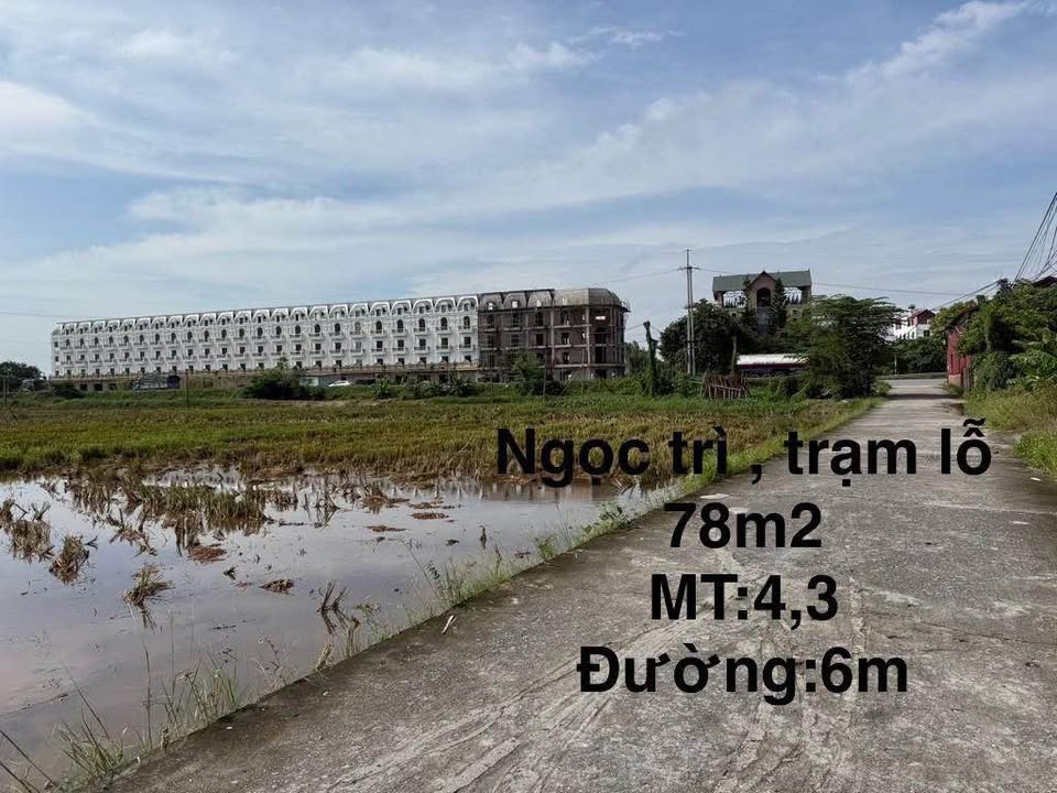 Lô đất đẹp Ngọc Trì, Trạm Lộ 78m² giá 3 tỷ - Tiềm năng tăng giá mạnh!