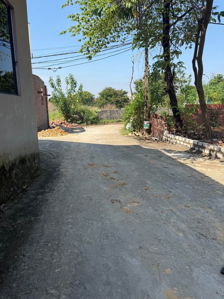 Đất thổ cư Hiệp Hòa, Bắc Giang 100m² giá 1.6 tỷ - Vị trí đắc địa giữa khu đô thị!