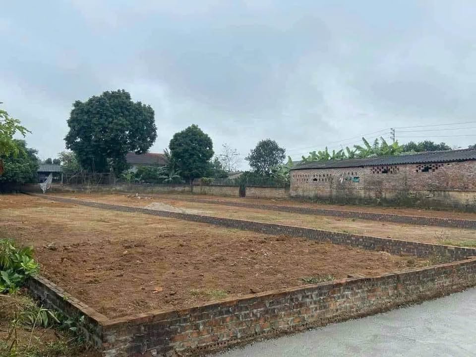 Đất nền Cẩm Lĩnh, Ba Vì 375m² giá 1 tỷ - Đường ô tô vào tận nơi!