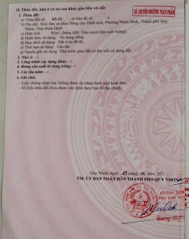 Đất Mặt Tiền Nguyễn Diêu, Quy Nhơn 85m² giá 2.95 tỷ - Cơ hội đầu tư tuyệt vời!