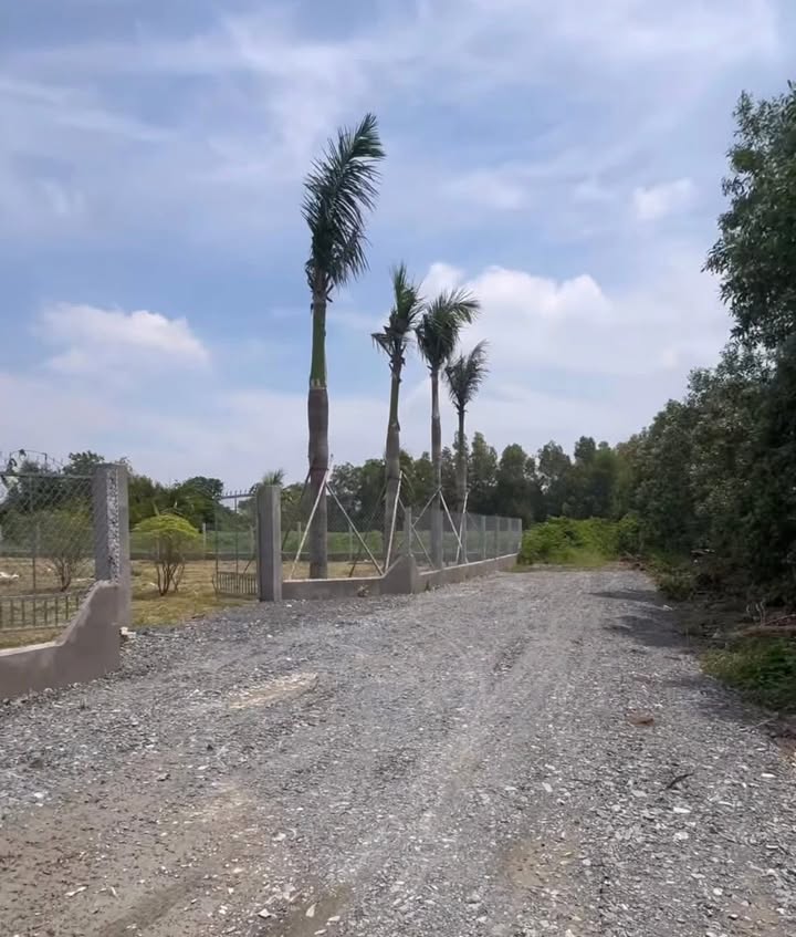 Đất vườn Vĩnh Thanh 1.306m² giá 7.57 tỷ - Đường ô tô 6m thuận tiện