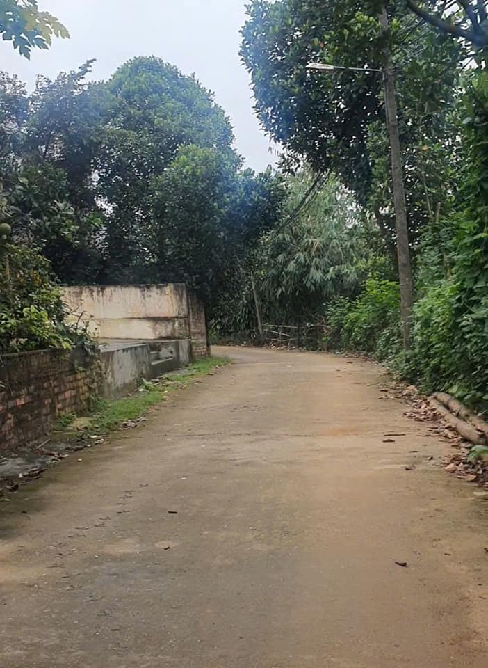 Đất Vân Phú Việt Trì 114.5m² giá chỉ 2 tỷ - Mặt tiền 9m, đường thông thoáng!