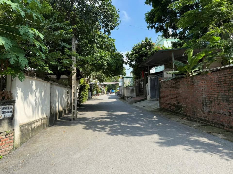 Đất thổ cư Thụy Vân, 186m² giá chỉ 1 tỷ - Vị trí thuận lợi gần chợ!