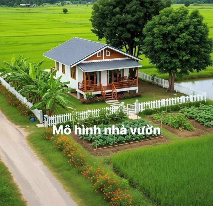 Đất nền Thới Tam Thôn Hóc Môn 670m² giá 2.35 tỷ - Sổ đỏ chính chủ