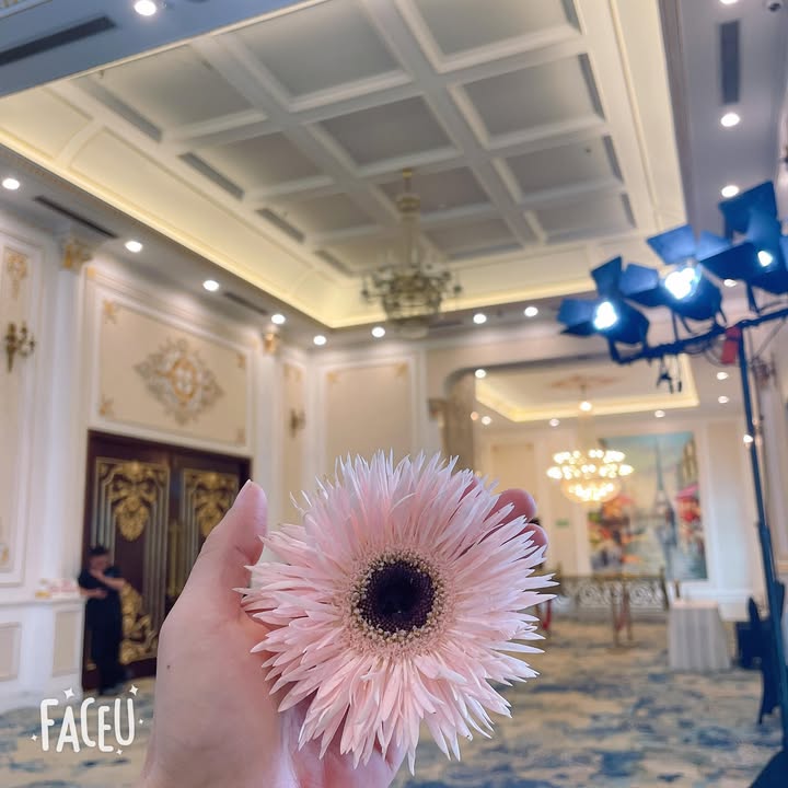 Đất Nghi Hương Cửa Lò 400m² giá 7.2 tỷ - Cơ hội đầu tư hấp dẫn!