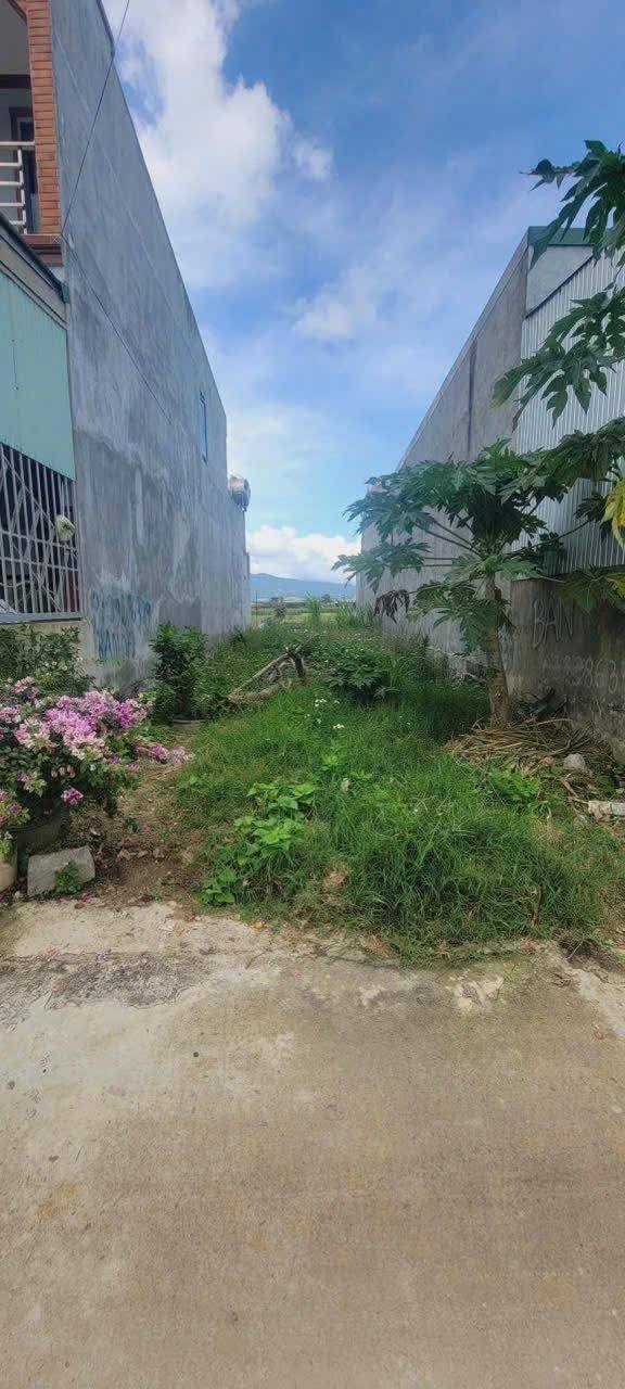 Đất nền Lạc Lâm Đơn Dương 122m² giá 630 triệu - Đầu tư sinh lời ngay!