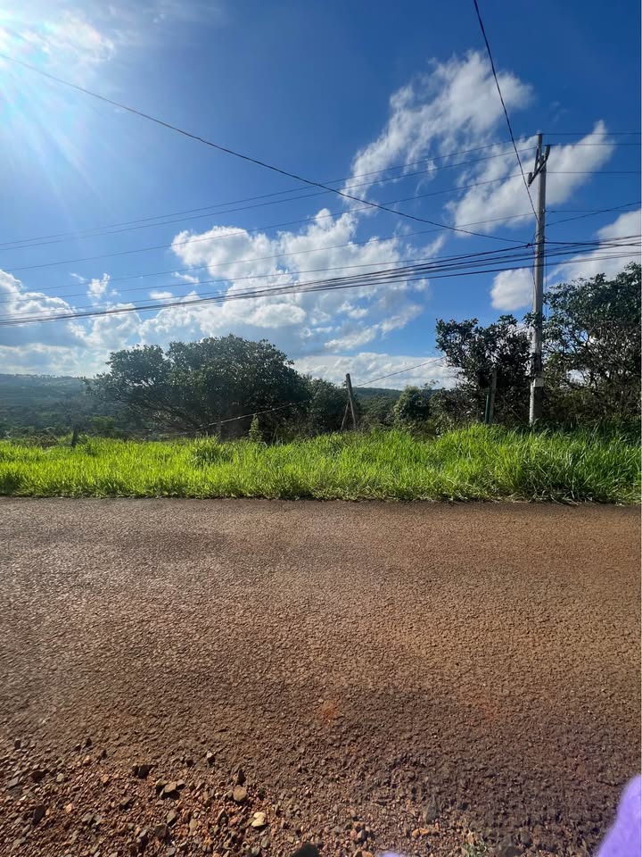 Đất nền Tân Tiến, Gia Nghĩa 564m² - Đường nhựa thông tứ hướng, pháp lý rõ ràng!