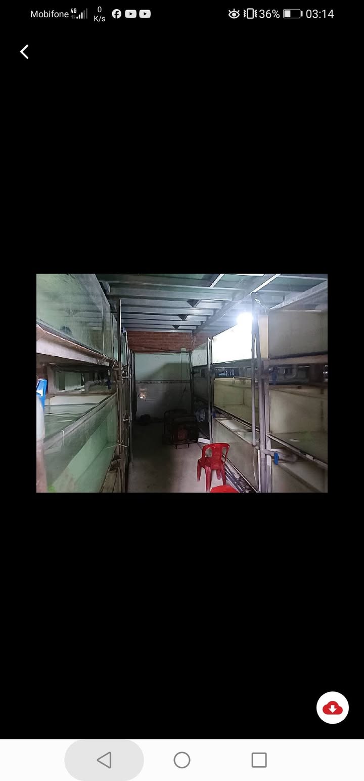 Bán gấp 3 căn nhà liền kề đường Tân Long, Bình Chánh 300m² - Đầu tư sinh lời ổn định!