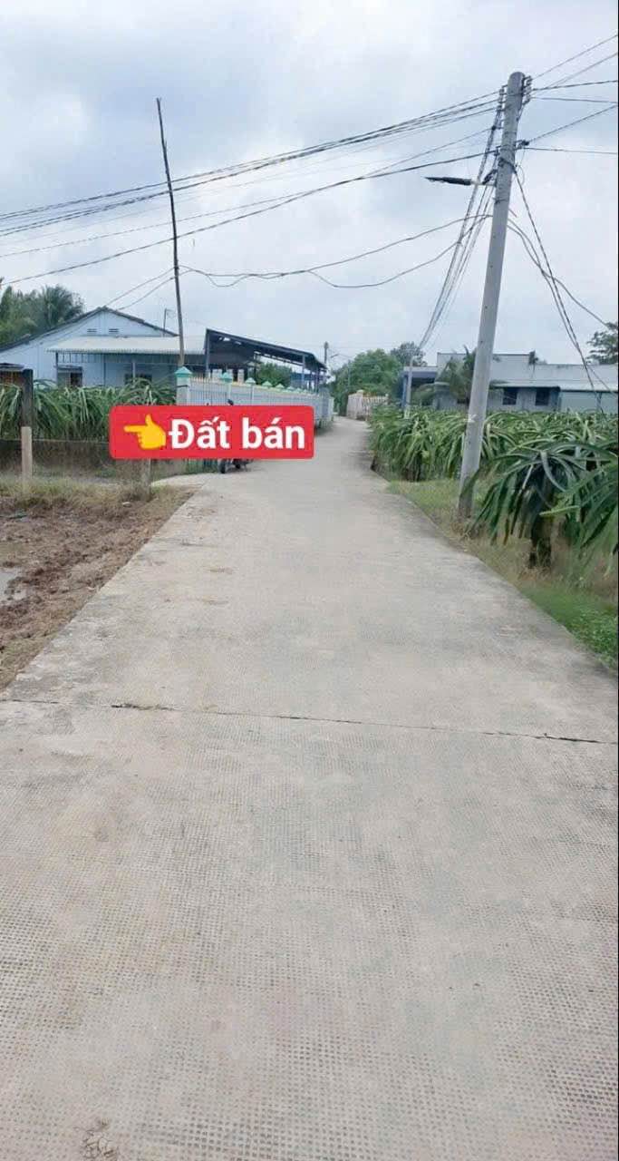 Đất lúa 1272m² tại Phước Tân Hưng, Châu Thành, Long An - Giá chỉ 850 triệu - 3 mặt tiền ô tô vào tận nơi!